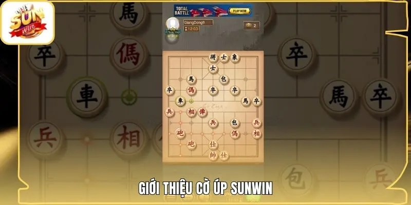Giới thiệu cờ úp Sunwin