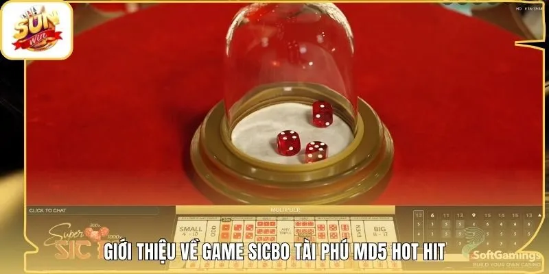Giới thiệu về game sicbo tài phú MD5 hot hit