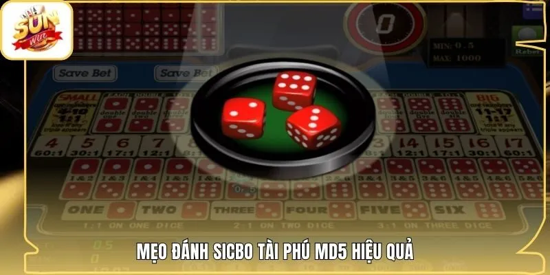 Mẹo đánh sicbo tài phú MD5 hiệu quả